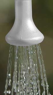 Shower Head on Solar-Heated Shower Bag for Camping